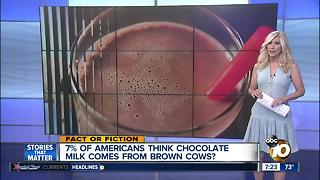 Brown cows = chocolate milk?