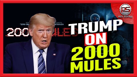 Trump on 2000 Mules