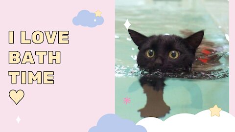 Lovely black cat enjoys bath!