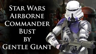 Star Wars Airborne Commander Bust by Gentle Giant