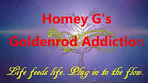 Homey G's Goldenrod Addiction