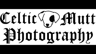 video portfolio for Celtic Mutt Photography