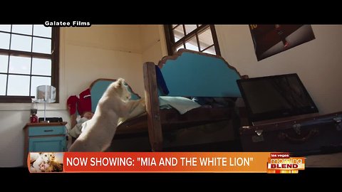 NOW SHOWING: "Mia And The White Lion"