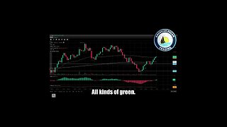 VIP Member's Journey To $10,000+ Profit - Unveiling Day Trading Success In The Stock Market