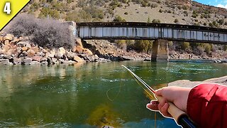 Catching BIG Trout out of a Beautiful River! | Fly Fishing Colorado Pt 4
