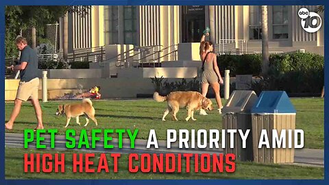 Taking precautions for pets as heat broils county