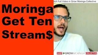 Moringa Revenue Streams | The Drumstick Tree Makes Money with Leaves, Powder, Seeds, Oil, Flowers