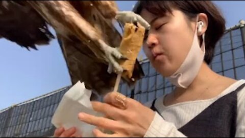 Bird Snatches Woman's Food - Free Meal