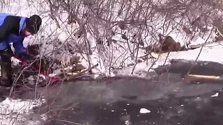 Under ice beaver trapping
