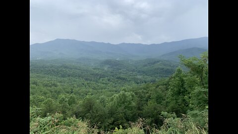 Horseback in the Smokey’s