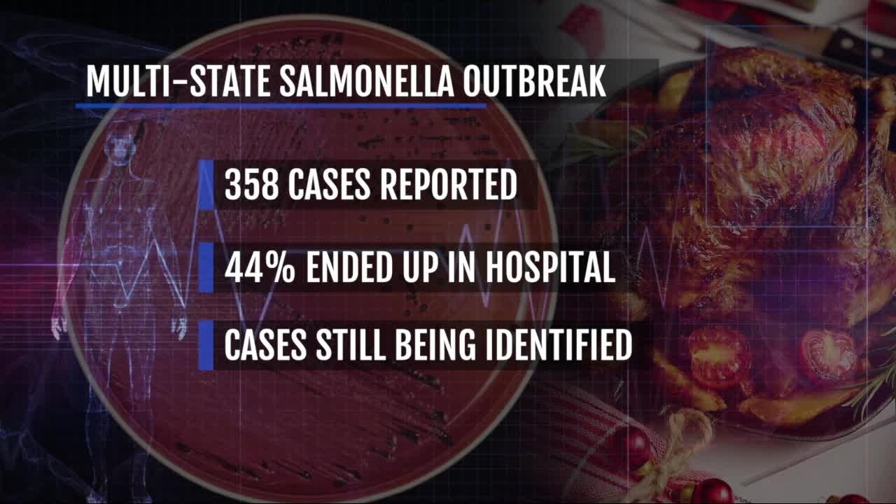 Ask Dr. Nandi: Don't let Salmonella make your Thanksgiving a turkey