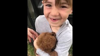 Kid Ecstatic After Receiving Brand New Puppy