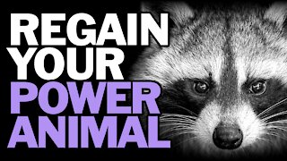 Regain Your Power Animal