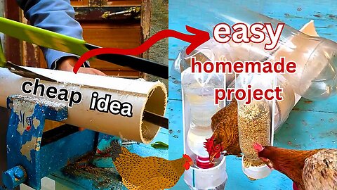 creative ideas for project You won't believe what I made for chicken chicks I Invention ideas Ep:03