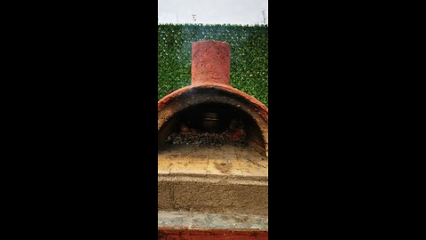 Testing my new homemade Wood Fired oven
