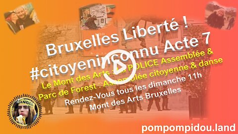 Bruxelles Liberté ! #citoyeninconnu​ Acte 7