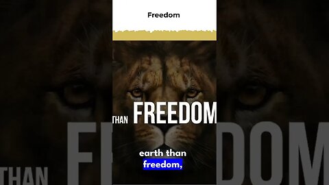 Lion Has Freedom