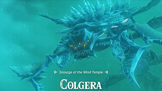 Zelda: Tears of the Kingdom - Colgera Boss Fight