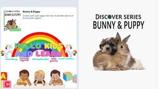 Discover Series - Bunny & Puppy