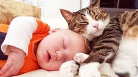 Cute Babies 👶 and Cats 😹 Are Best Friends - Funny Cat Videos