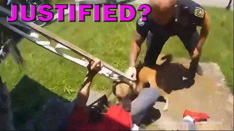 K-9 Latches Onto Suspect On Video! LEO Round Table S08E103