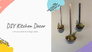 DIY Kitchen Decor with Succulents