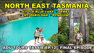 WOOD FIRED HOT TUBS, PENGUINS, LITTLE BLUE LAKE, MT PARIS DAM, DERBY | ADU TOURS TASSIE - Ep 12