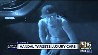 Luxury cars vandalized at Tempe car dealership