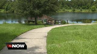 Gator attack leaves dog badly injured