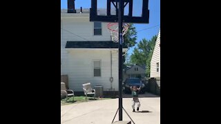 3-year-old Picks Up A Basketball And Makes A Shot With Ease