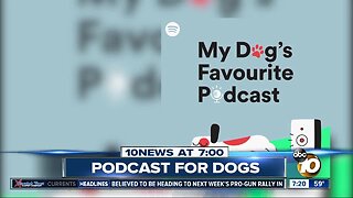 New podcast for dogs?