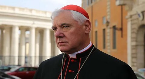 Cardinal Gerhard Ludwig Mueller: Elites pushing an agenda which is based on a fraud