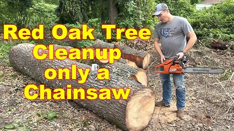 Cleaning Up a Red Oak Tree with a Husqvarna Chainsaw: Time-Lapse Surprise!