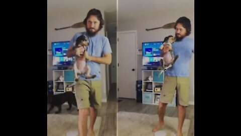 Dramatic pup screams when owner pretends her to spank