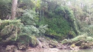 Three Hundred Springs upper falls, green river, KY