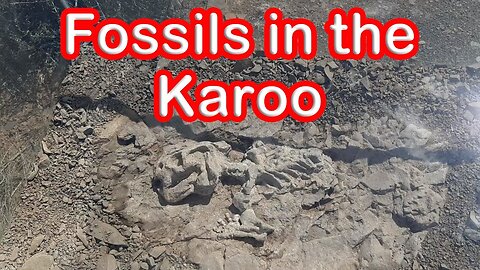 Amazing fossils discovered in the Karoo! S1 - Ep 10