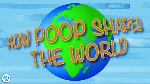 How Poop Shapes the World