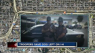 Troopers save dog left on I-4