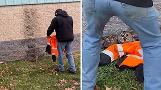 City Workers Use Their Jackets to Rescue Injured Owl