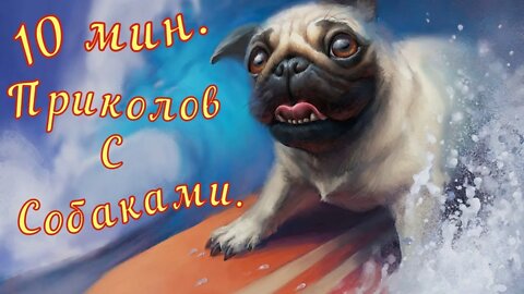 Смешные Собаки 20 Funny Dogs Юмор