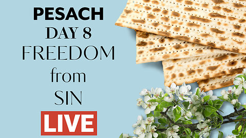 Pesach - Day 8 - Freedom from Sin - Live Q&A