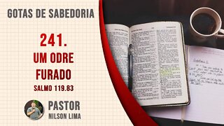 🔴 241. Um odre furado - Salmo 119.83 - Pr. Nilson Lima #DEVOCIONAL