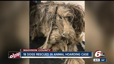 More than a dozen rescued from extreme hoarding situation in Madison County