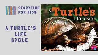 🐢A Turtle's Life Cycle by Mary R Dunn 🐢 Pebble Plus 🐢 @Storytime for Kids