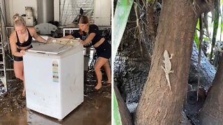 Sisters Perform Extreme Clean-up After Queensland Flood