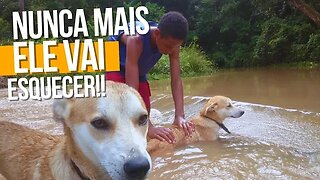 Bob recebeu o melhor banho da vida dele!!!🚿🐶