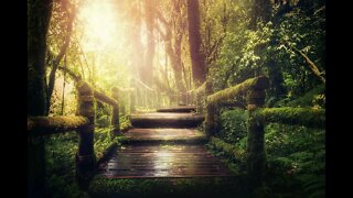 Rainforest Meditation 432Hz 10 HOURS