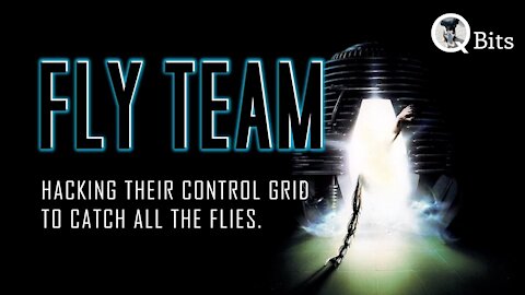 #273 // FLY TEAM