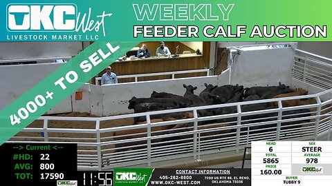 3/29/2023 - OKC West Feeder Calf Auction