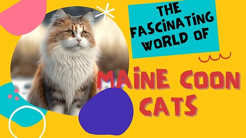 THE FASCINATING WORLD OF MAINE COON CATS: ORIGINS, CURIOSITIES AND CHARACTERISTICS